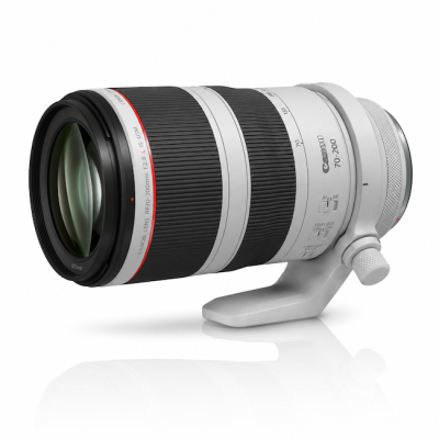Canon RF 70-200mm f/2.8 L IS